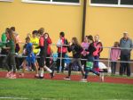 2019 majstriovstva zs v atletike